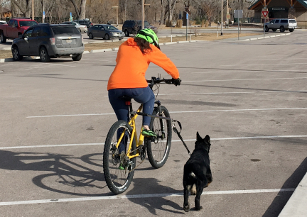 Tabaliah Learning Bicycle Attachment 2017-02-14