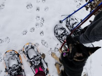 Teanna Snowshoeing Katy Trail 2020.01.29