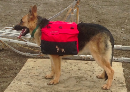 Tekoa Sid View of Wenaha Dog Backpack  2014-03-30