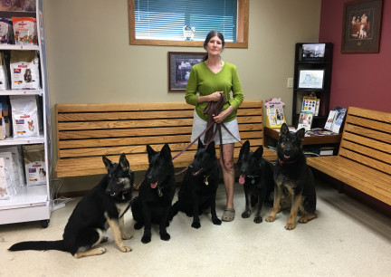 Vet Office Visit 2018-06-05  Teanna, Turquoise, Texas Tea, Tabaliah, Tychicus