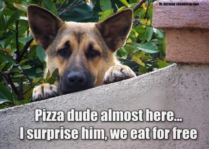 GSD Waiting For Pizza Dude