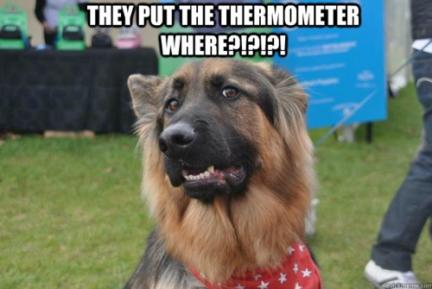 GSD thermometer