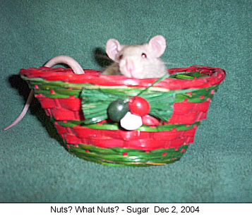 sugarnuts 2004-12-02.jpg