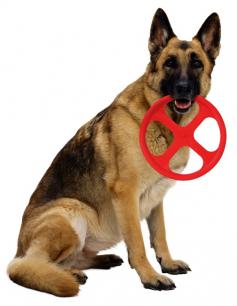 Omega Paw Dog Frisbee